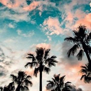 Meet your Posher, Ashlee